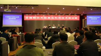 技术推广服务中心 连接创新与应用的桥梁