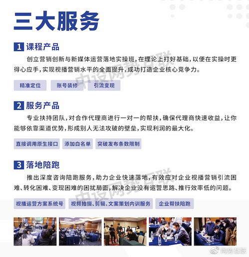 中设网势互联业务模式 技术创新驱动的专业推广服务