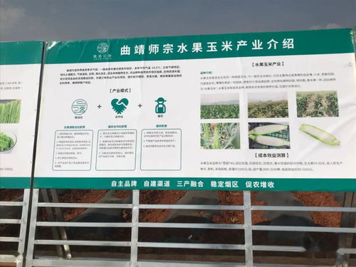 推广有机肥改良土壤结构，云南国发助力师宗烟草绿色高质量发展