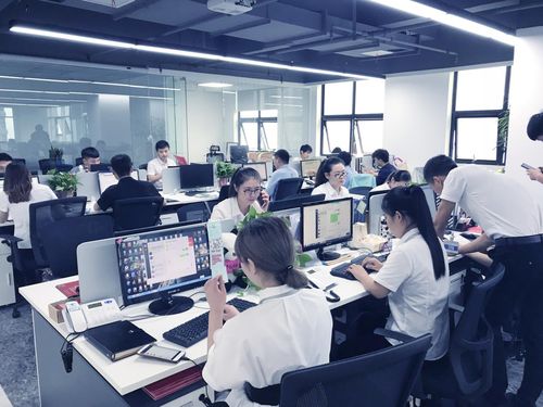 西安注册公司注销条件及流程 技术推广服务的合规指南